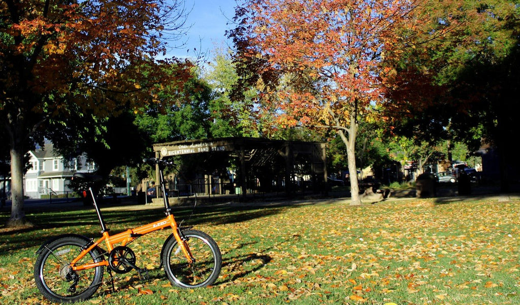 Making the Most of Fall for Fun and Fall Rides - ZiZZO Folding bike