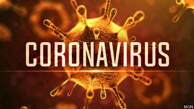 COVID-19; Coronavirus Affects on ZiZZO Bikes - ZiZZO Folding bike