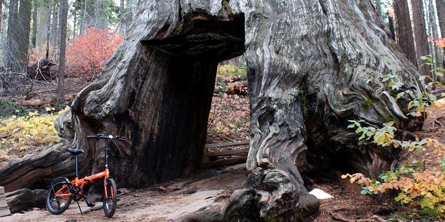 ZiZZO In Search of Gravel and Dirt Trails - ZiZZO Folding bike