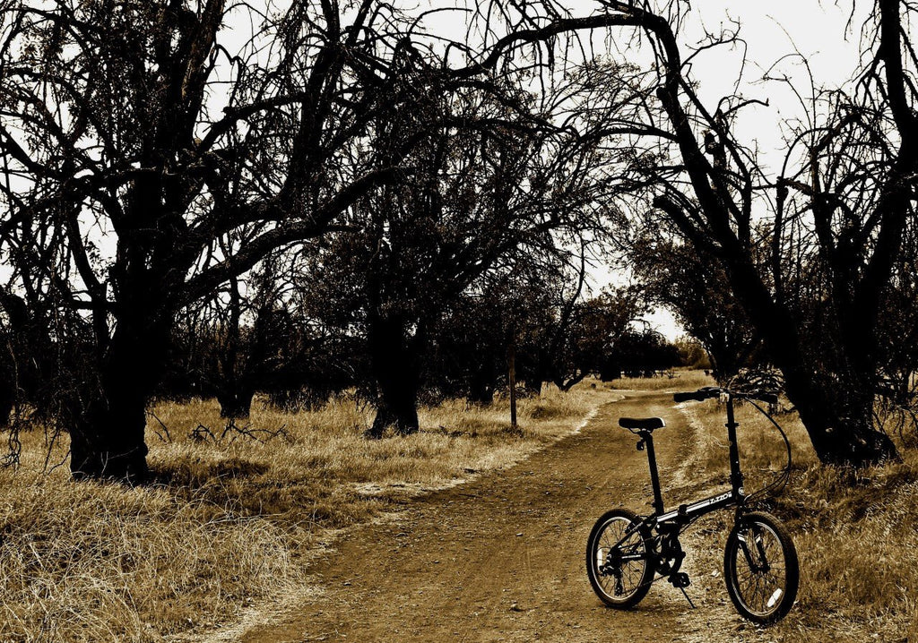 Trick Or Treat ZiZZO? - ZiZZO Folding bike