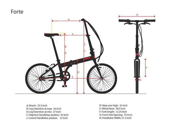ZiZZO Forte Folding Bike | Heavy-Duty 8-Speed | 300 lbs load – ZiZZO ...